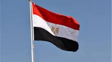 الهيئة العامة للاستعلامات: مصر تؤكد دعم غزة وتنفي مزاعم دعم الاحتلال عسكريًا