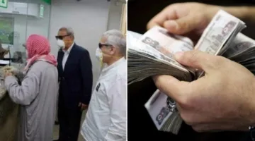 قيمة المعاشات المنصرفة في 2024 تصل إلى 179.5 مليار جنيه وفقًا للإحصاء
