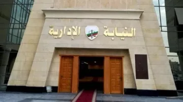 1015 عملة تذكارية مفقودة.. إحالة مسؤولين بهيئة تنشيط السياحة للمحاكمة التأديبية