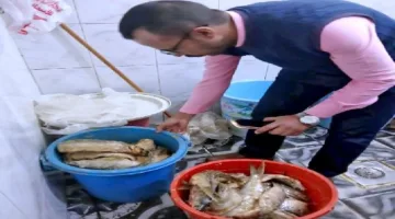 سوهاج: حملات رقابية مكثفة تضبط كميات من الأسماك المملحة الفاسدة قبل العيد