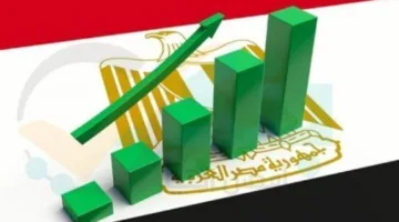 النمو الاقتصادي: عضو الجمعية المصرية يكشف تسجيل 4.3٪ بالربع الثاني 2024