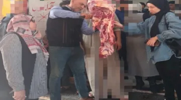 ضبط 2 طن لحوم وأسماك فاسدة خلال حملات بيطرية مكثفة بالمنوفية