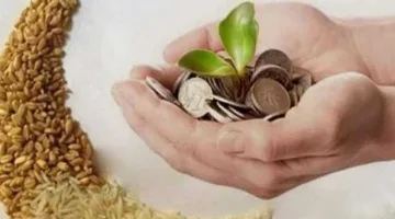 قيمة زكاة الفطر 2025 في مصر ومواعيد إخراجها وفقًا لدار الإفتاء