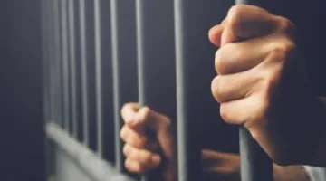 المؤبد لجزار بتهمة خطف طفل والتعدي عليه وشقيقين لشروعهم بقتل شخص بالقليوبية