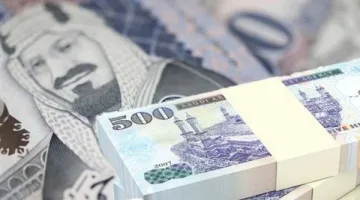 سعر الريال السعودي اليوم في مصر الإثنين 24 مارس 2025 بشركات الصرافة