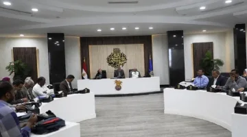 محافظ أسوان يشدد على ضرورة تكثيف حملات التفتيش لضبط الأسواق