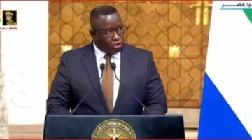 رئيس سيراليون: تعزيز التعاون الثنائي مع السيسي في الدفاع والتجارة والتعليم