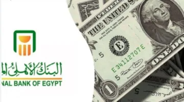 أعلى عائد على شهادات الادخار الدولارية من البنك الأهلي المصري: التفاصيل كاملة