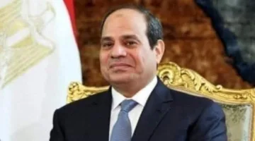 مصر مستمرة في دعم القضية الفلسطينية العادلة بكل ما تملكه من إمكانيات