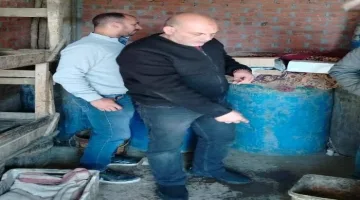 ضبط 2 طن لحوم وأسماك فاسدة بالمنوفية تهدد سلامة الغذاء والصحة العامة