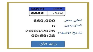 سعر لوحة سيارة مميزة يصل إلى 660 ألف جنيه.. خطوات المشاركة في المزاد