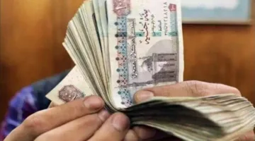 2000 جنيه منحة العمالة غير المنتظمة.. رابط الاستعلام قبل عيد الفطر