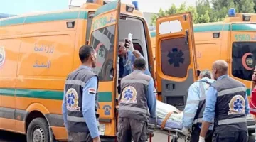 مصرع وإصابة ثلاثة في حادث مروع بطريق وصلة دهشور في الجيزة.
