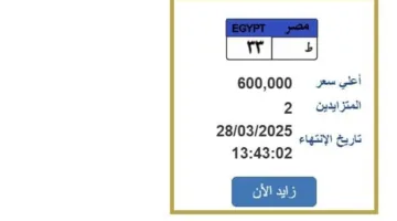 سعر لوحة سيارة مميزة يصل 600 ألف جنيه.. تعرف على كيفية دخول المزاد
