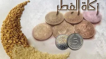 موعد زكاة عيد الفطر 2025.. تعرف على آخر وقت لإخراجها الآن