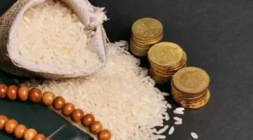 قيمة زكاة الفطر 2025: الموعد المحدد والفئات المستحقة للتبرع بها
