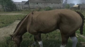أبرز الخيول في Kingdom Come: Deliverance 2 – دليل شامل للجزء الأول