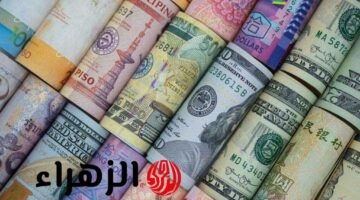 أحدث أسعار العملات مقابل الجن المصري اليوم – تحديث الخميس 6 مارس 2025