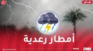 أمطار رعدية على 5 ولايات بداية من اليوم – مصربوست