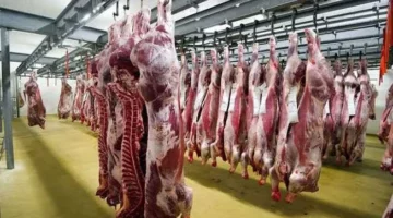 أسعار اللحوم اليوم في مصر: آخر تحديثات الأسواق والجزارة والسوبر ماركت 2025