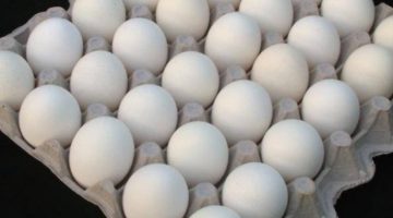 تعرف على أسعار البيض اليوم 21-3-2025 في مصر وتغيرات السوق