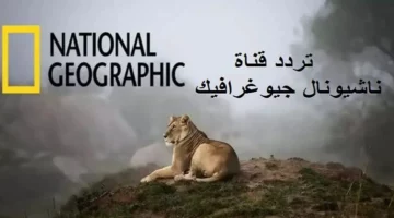 الآن: تردد قناة ناشيونال جيوغرافيك الجديد 2025 على النايل سات والعرب سات بجودة استثنائية