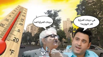 موجة حارة وأتربة تضرب البلاد: الأرصاد توضح حالة الطقس للأيام المقبلة