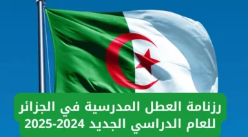 أفضل خطة دراسية مرنة لرمضان 2025 في الجزائر: توقيتات وأنظمة الدراسة لكل المراحل التعليمية