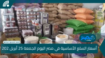 أسعار السلع الأساسية في مصر اليوم الجمعة 25 أبريل 2025