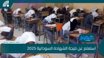 “نتيجتك بين إيديك”.. استعلم عن نتيجة الشهادة السودانية 2025 عبر موقع وزارة التربية mohe.gov.sd