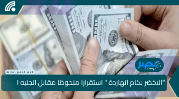“الاخضر بكام انهاردة ” استقرارا ملحوظا مقابل الجنيه المصري اليوم الخميس 24 أبريل 2025