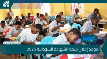 “برقم الجلوس أو الرقم الوطني”.. رابط وخطوات الاستعلام عن نتيجة الشهادة السودانية 2025
